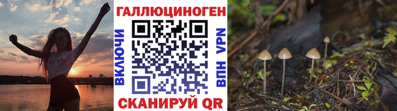 Галлюциногенные грибы Magic Shrooms  Топки 