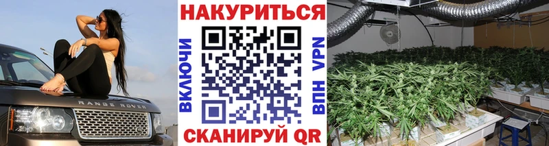 купить   ссылка на мегу ONION  Бошки Шишки план  Топки 